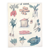 🥕 Original Deyrolle school poster, 542, 1950 - The soup, the
