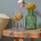 Antique pharmacy bottle-vintage Herbalism