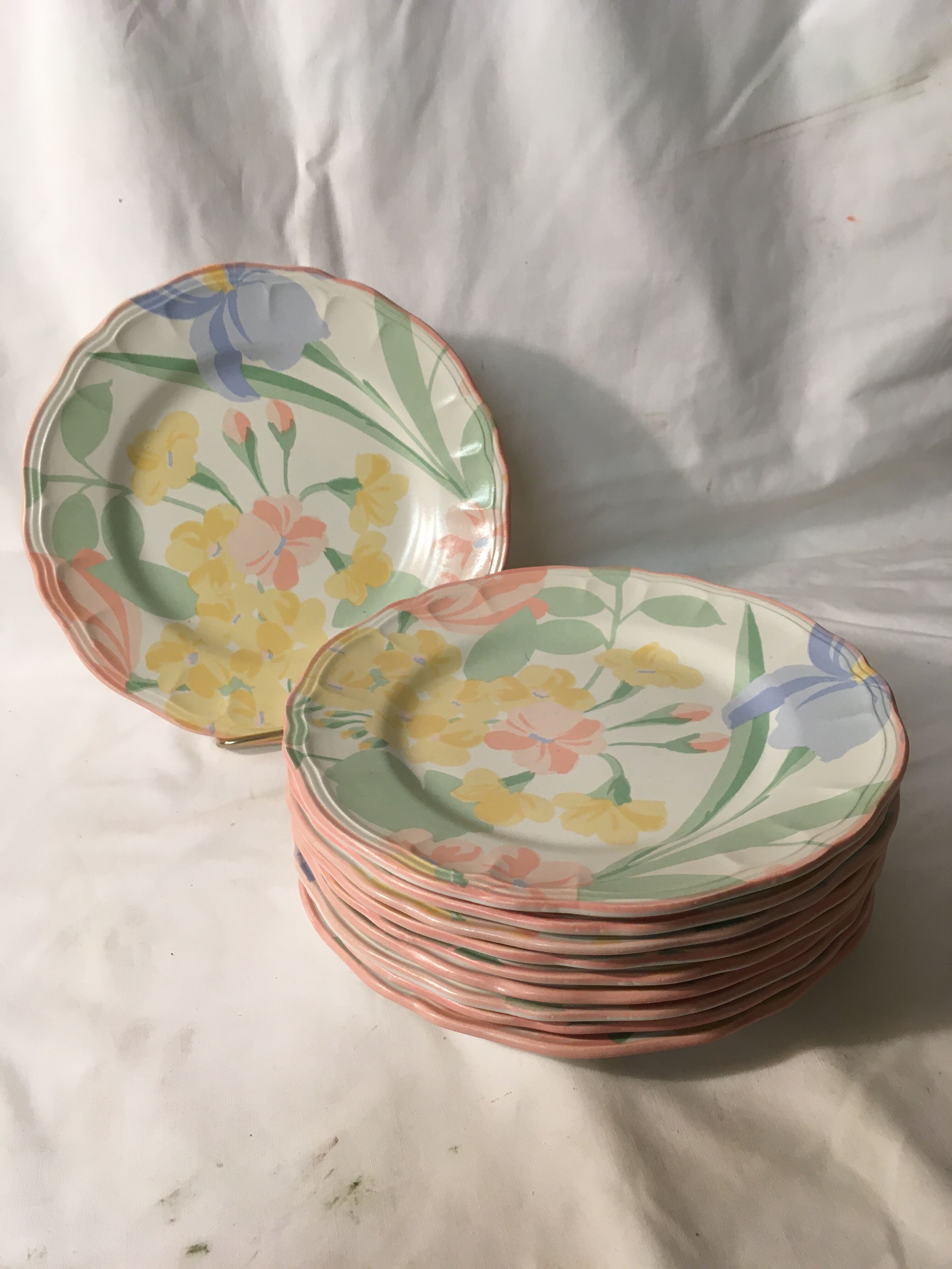 10 dessert plates made of earthenware Salins the baths