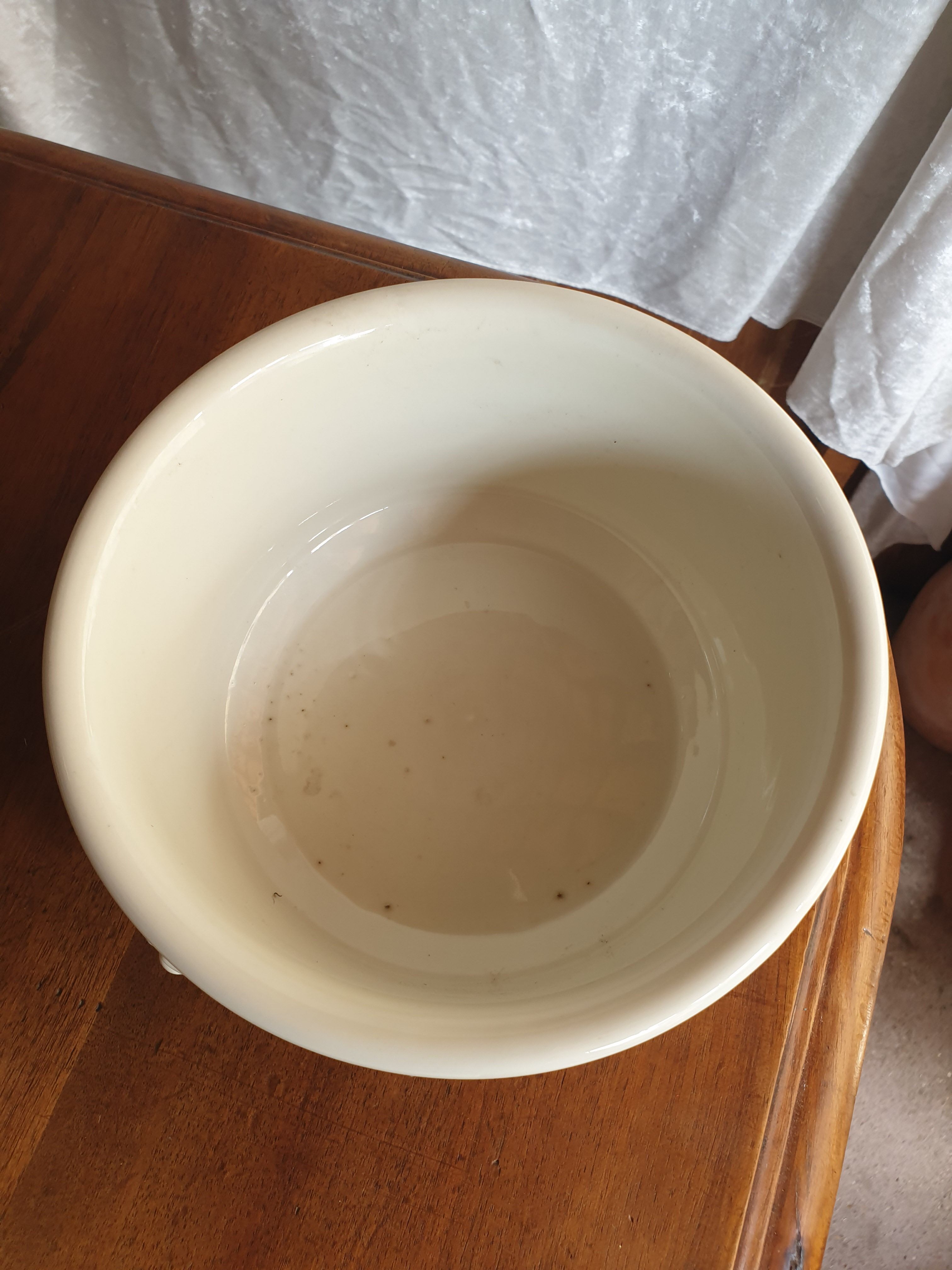 White dish