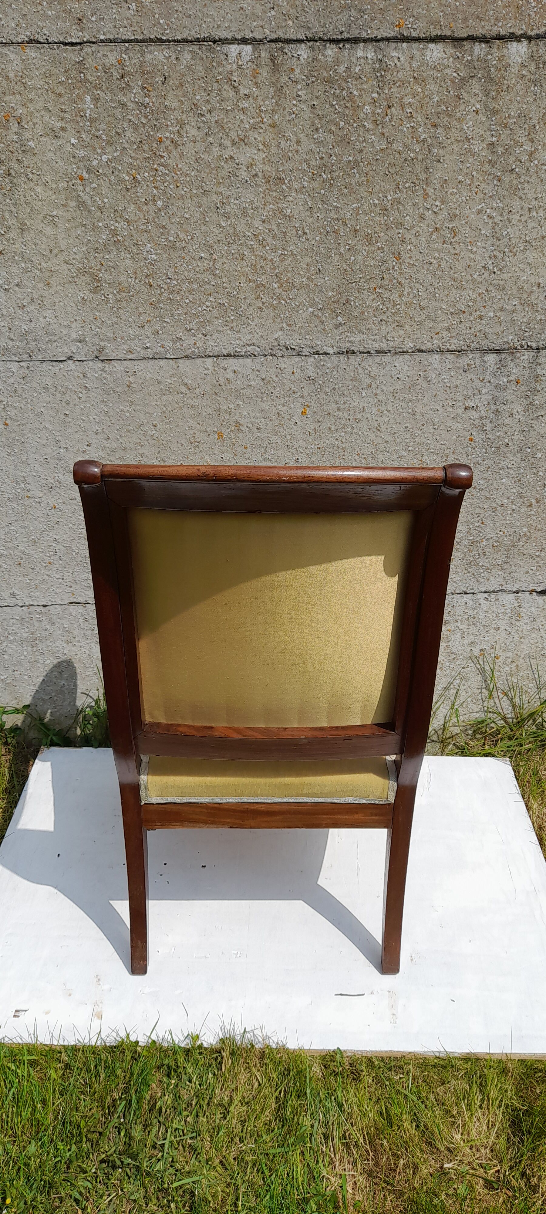 Mahogany butt armchair and mahogany veneer XIX th