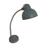 Luminorex lamp