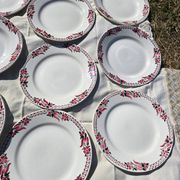 Lot of 10 deep and flat plates Ceranord St Amand model Roubaix +2