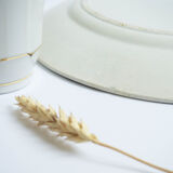 Iron clay dish from the St Amand factory model Rejane