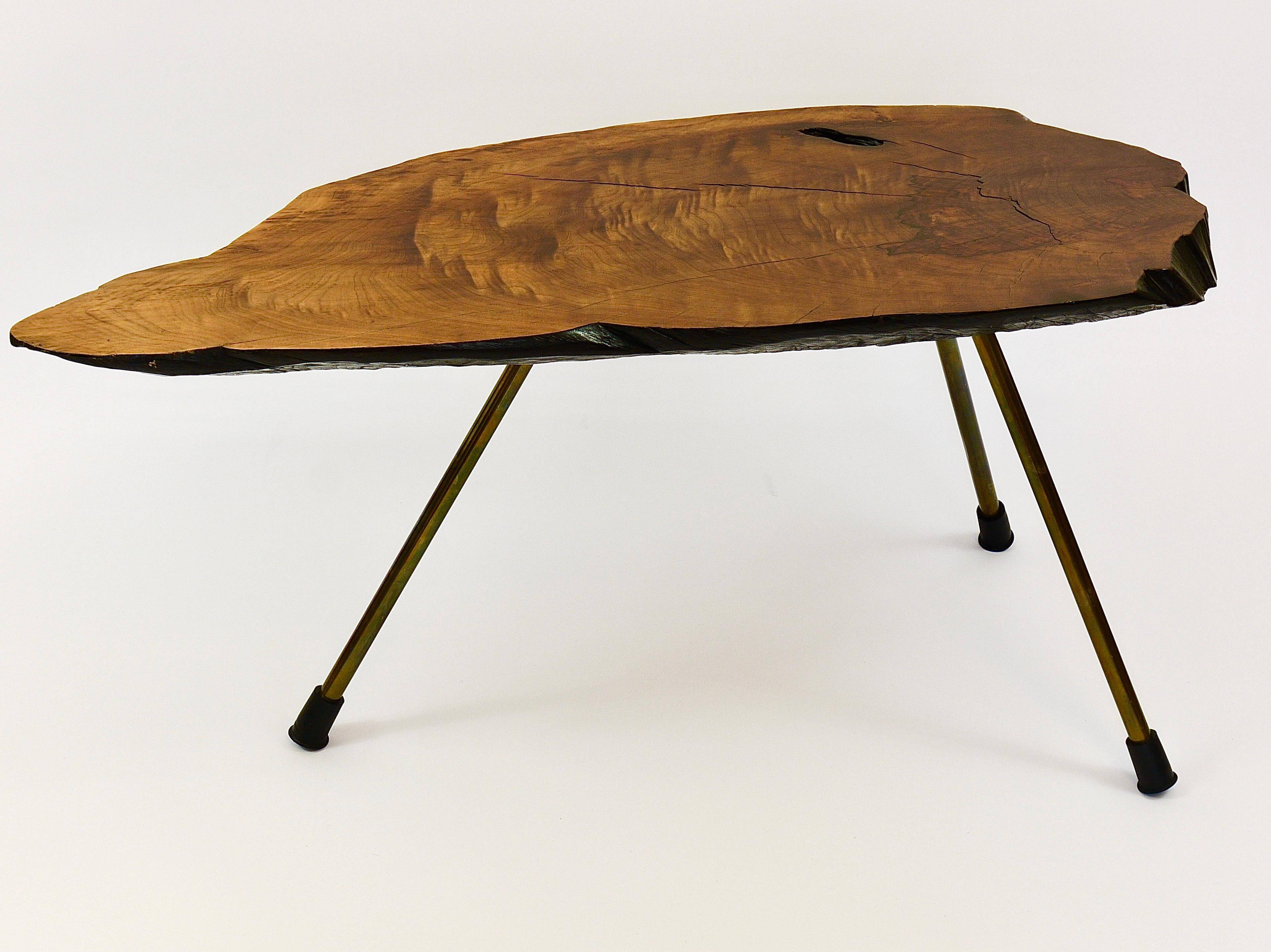 Original coffee table by Carl Aubock, large tree trunk in walnut from the mid-century, 1950s.