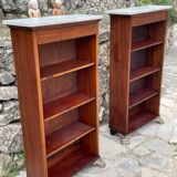Pair of empire style mahogany bibuses