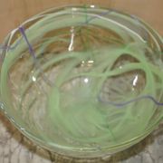 Kosta Boda decorative bowl in glass by Anna Ehrner