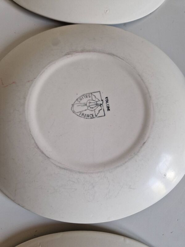 Lot De 12 Assiettes Plates De Forme Ovale Salins Modèle Tolede