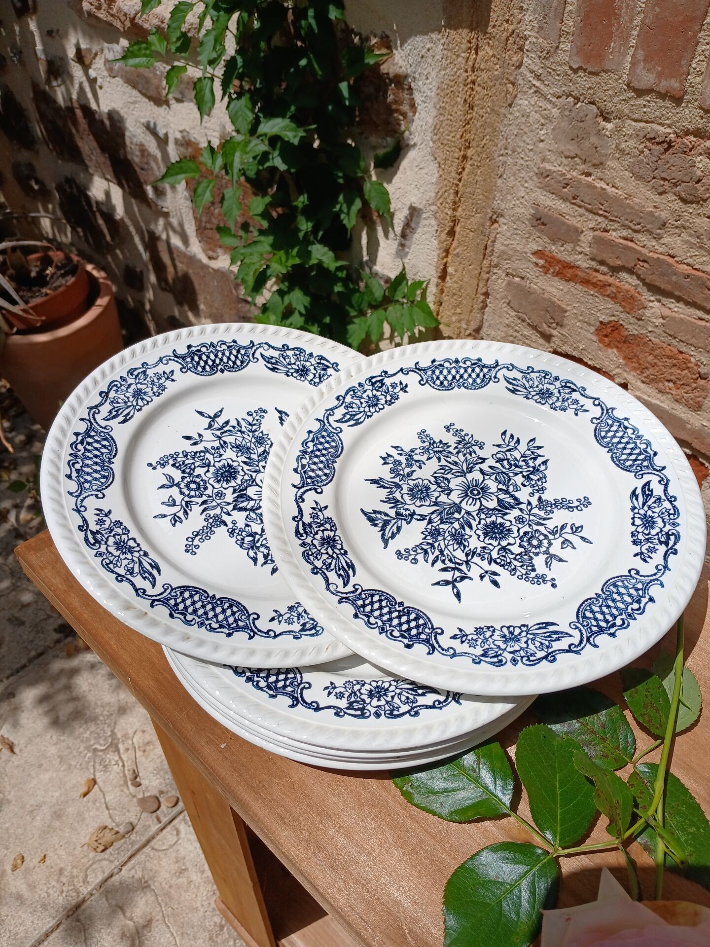 6 antique dinner plates