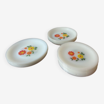 Service plates Arcopal vintage flowers