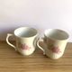 Coffee set six cups Limoges porcelain floral decoration