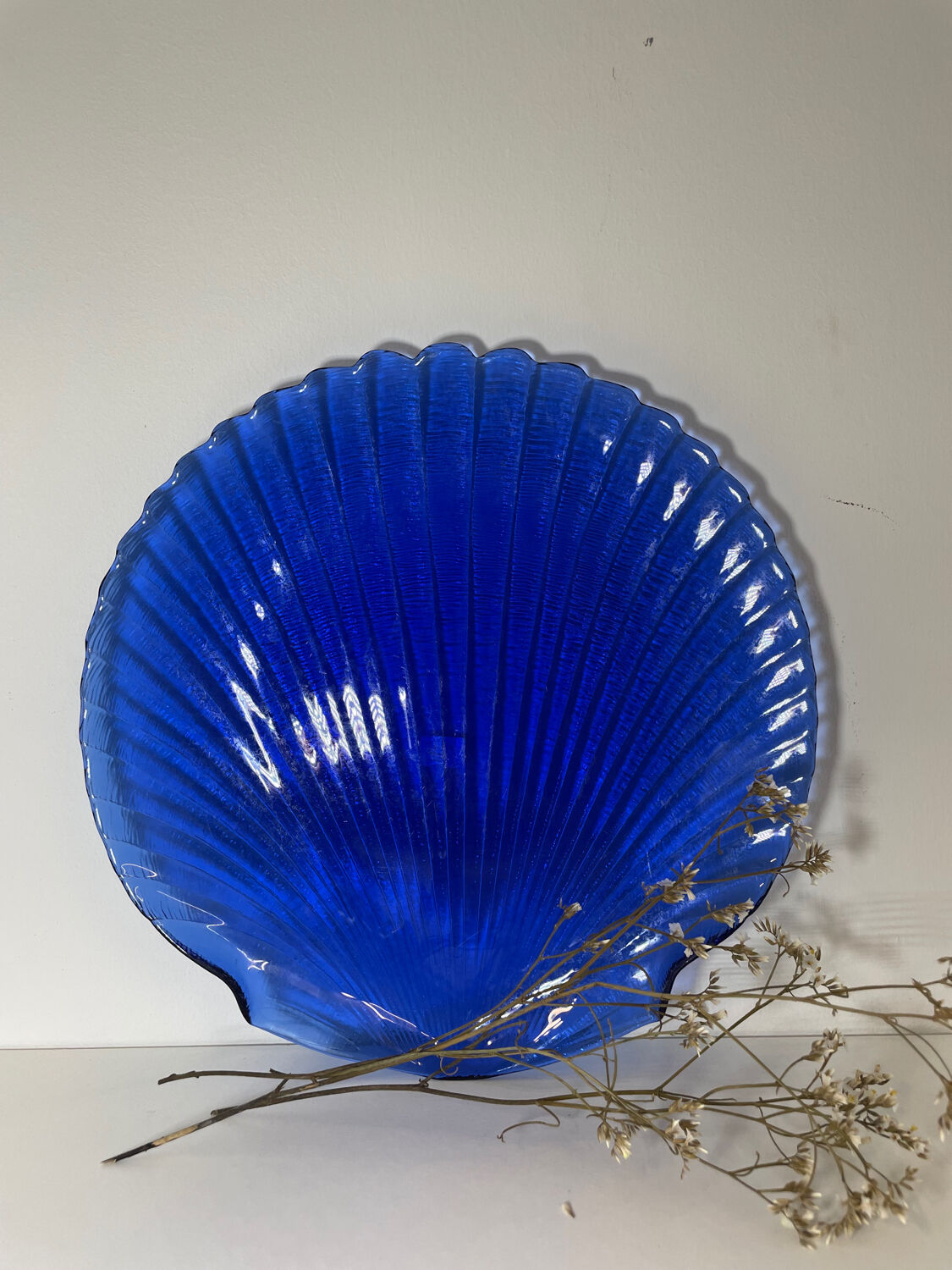 Assiette coquillage