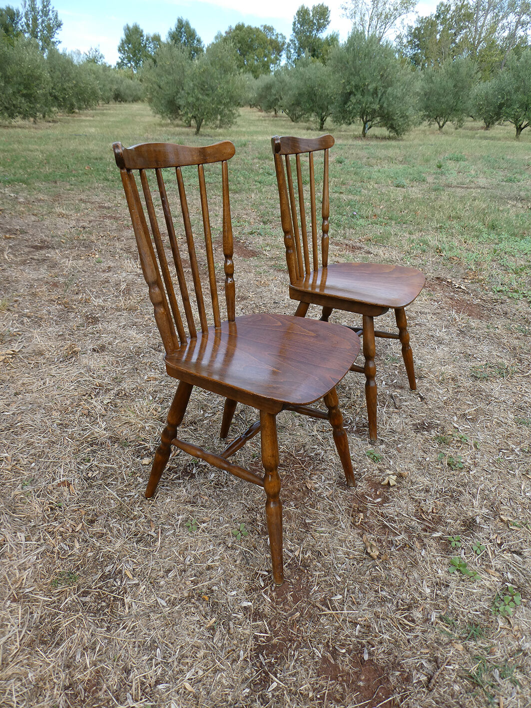 Pair of bistro chairs Baumann Western model