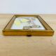 Vintage naturalized butterfly frame 19.5 x 14.5 cm