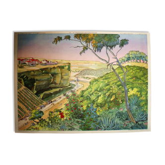 Poster school vegetation Mediterranean vegetation of mountain