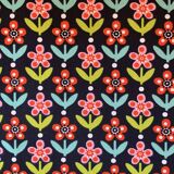 Parisian glazed wardrobe 1950