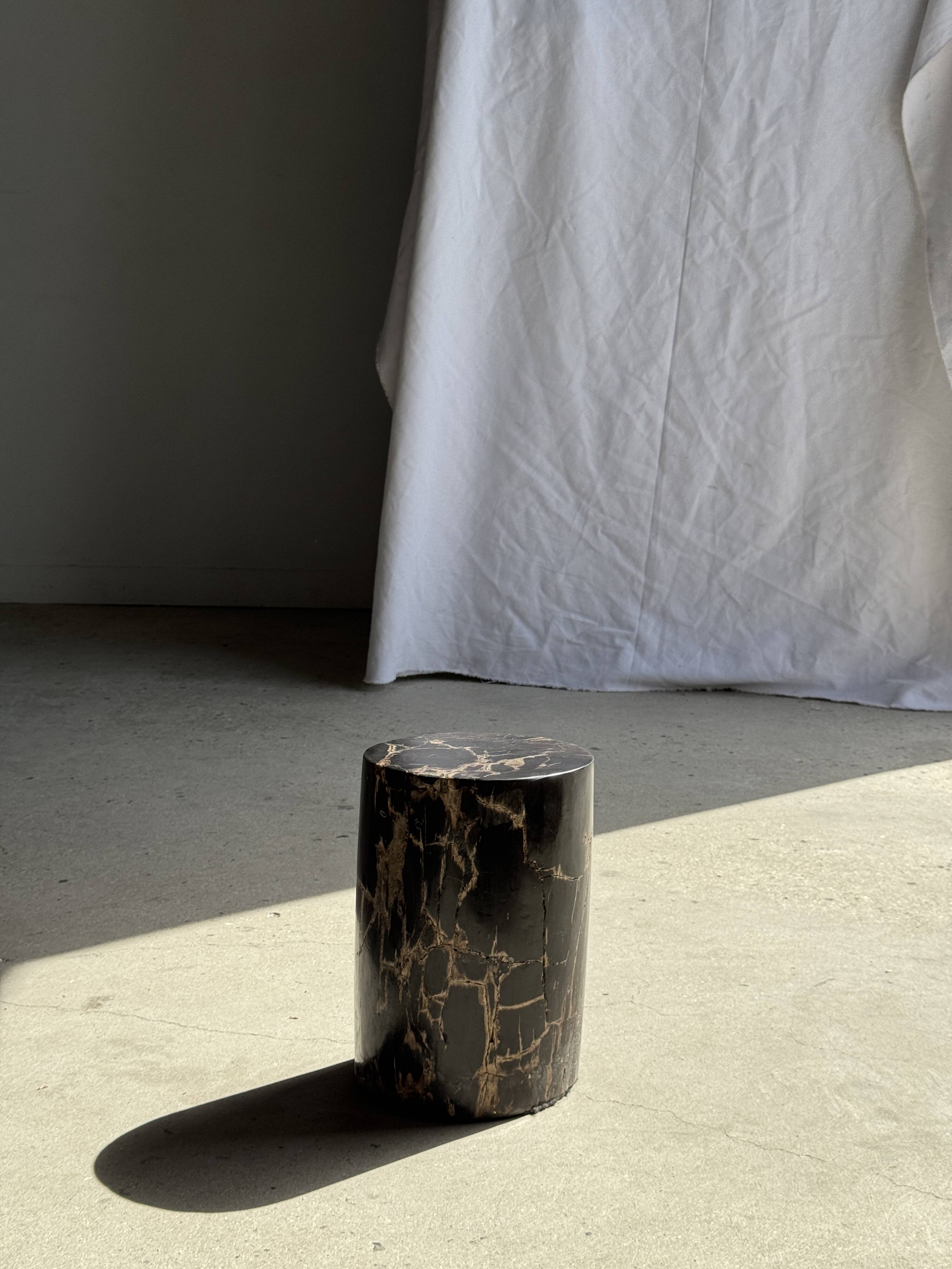Table d'appoint en bois pétrifié noir
