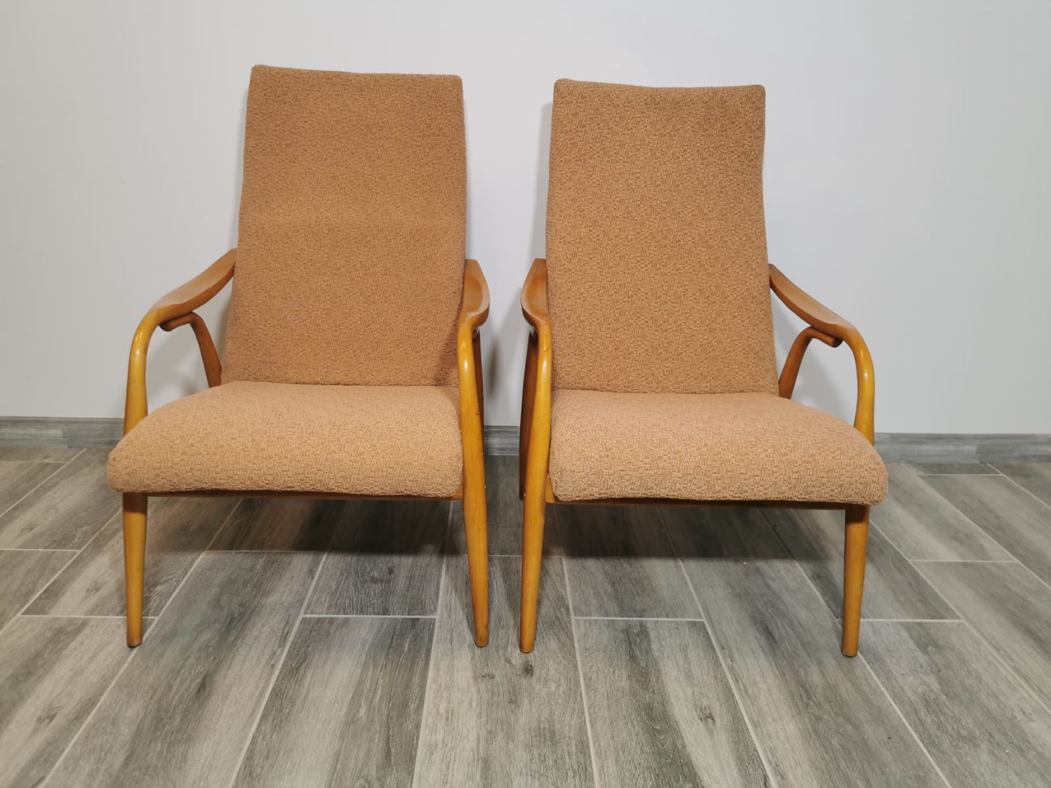 Lounge chairs by Antonin Suman
