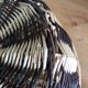 Round wicker presentation basket