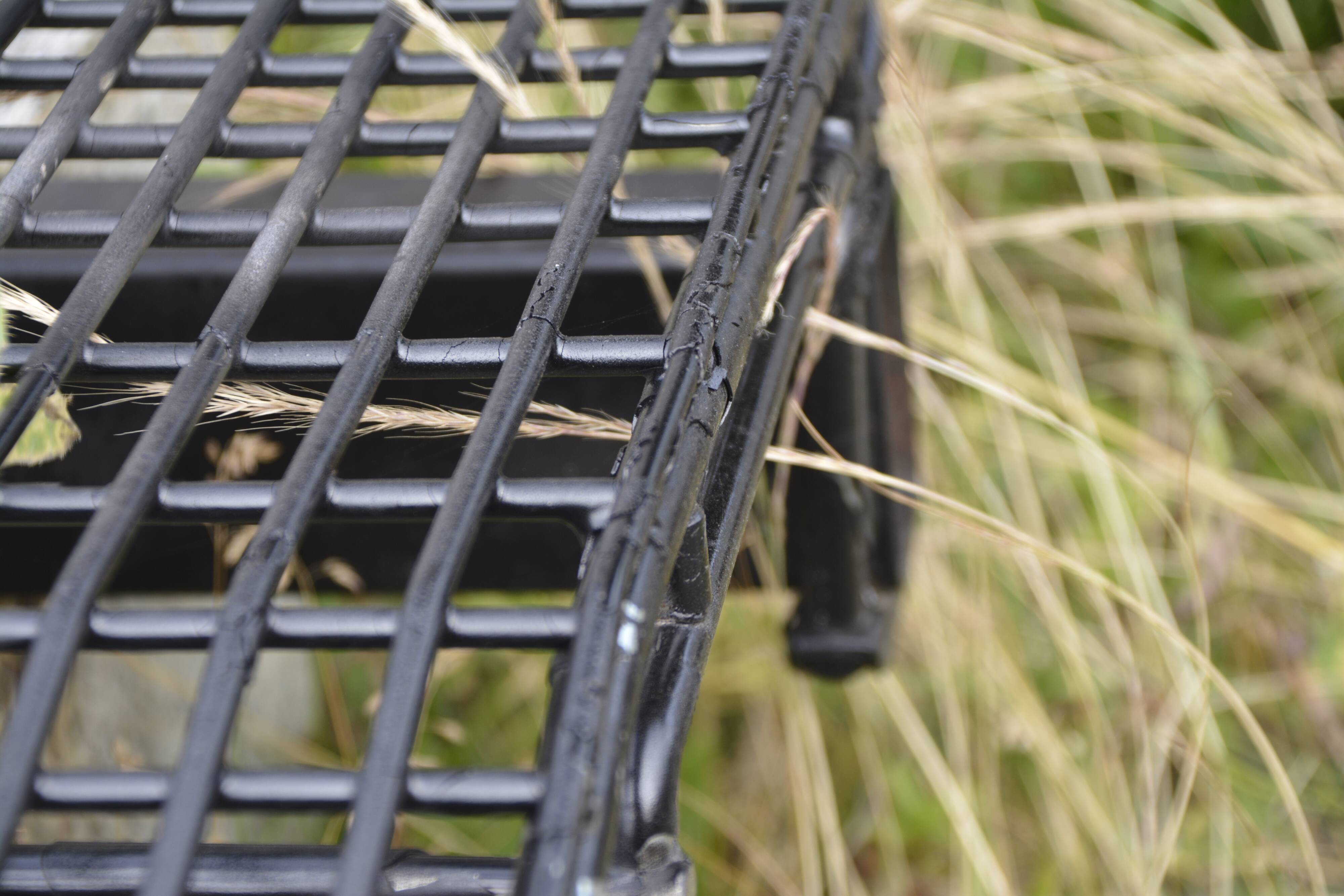 Osvaldo Borsani Bench, Tecno