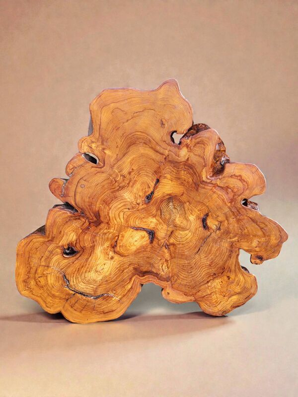 Table basse racine olivier style brutaliste