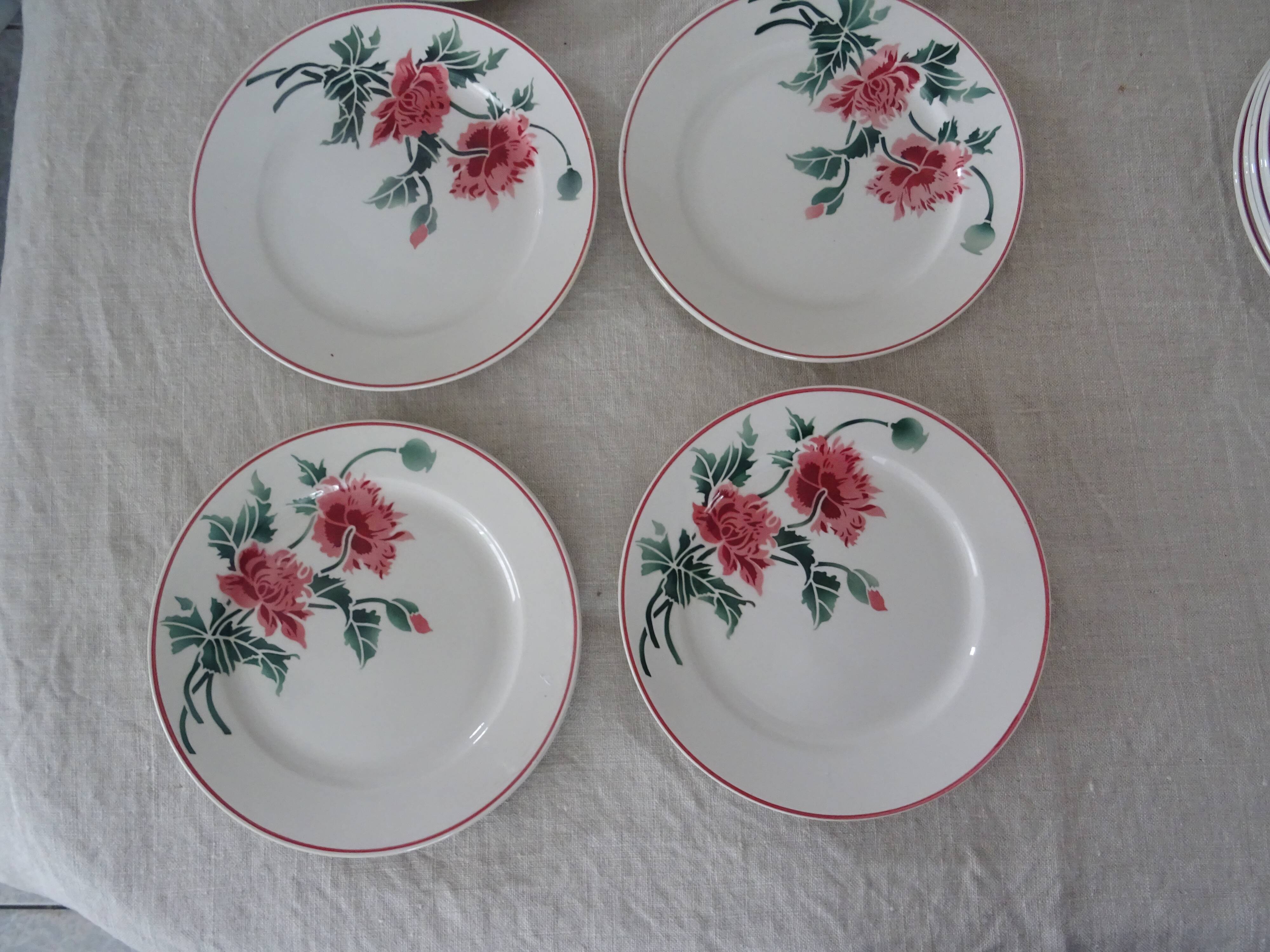12 plates old flat and hollow HBCM Creil Montereau Luxeuil carnations
