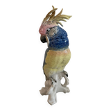 Cacatoès Larl Ens