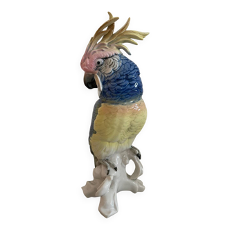 Cockatoo Larl Ens