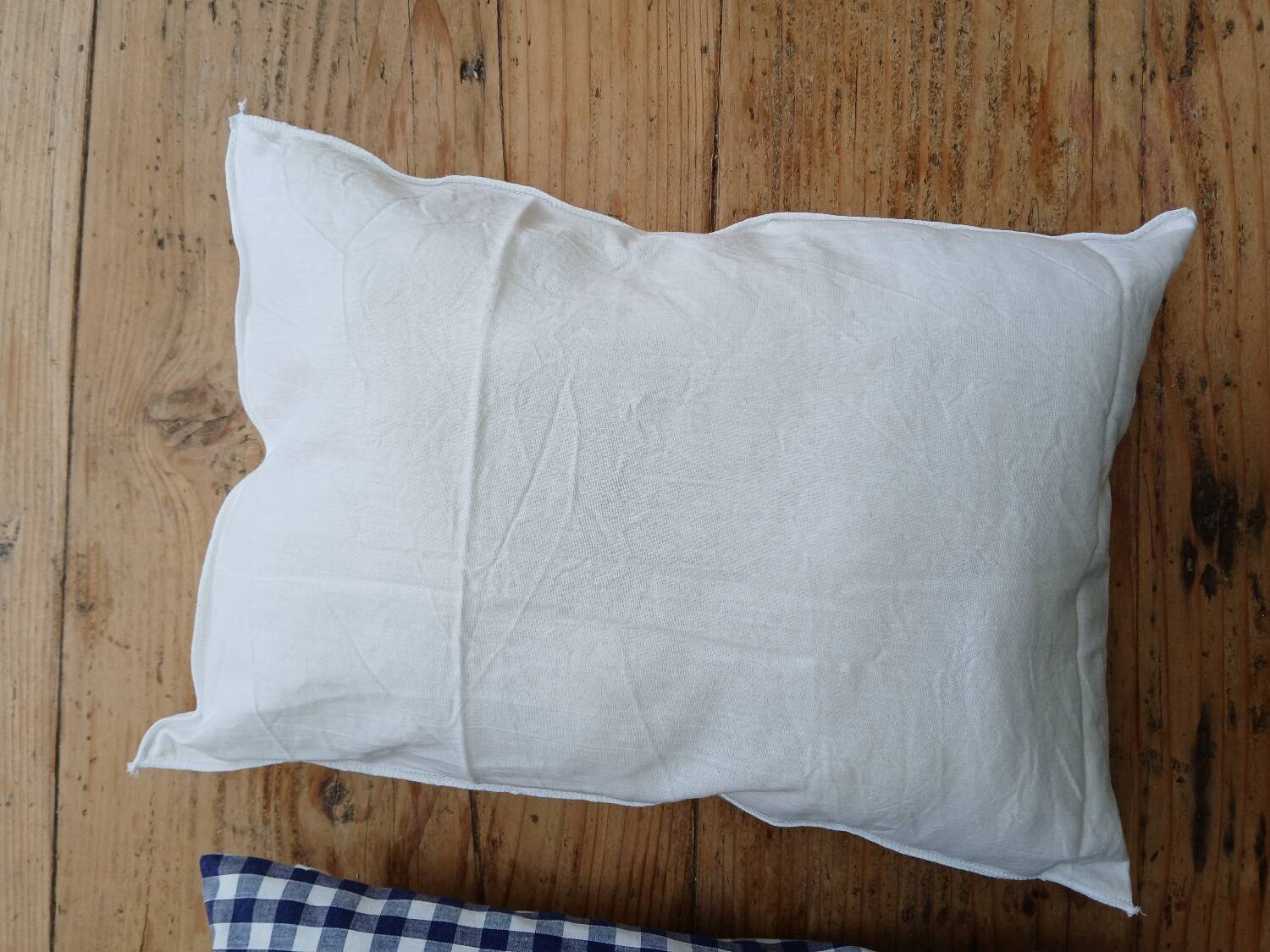 Set of 2 vintage cushions, blue gingham