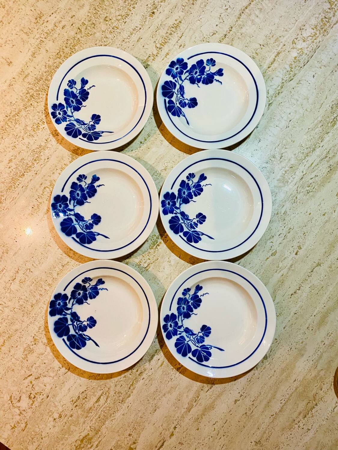 Set of 6 Badonvillier porcelain soup plates