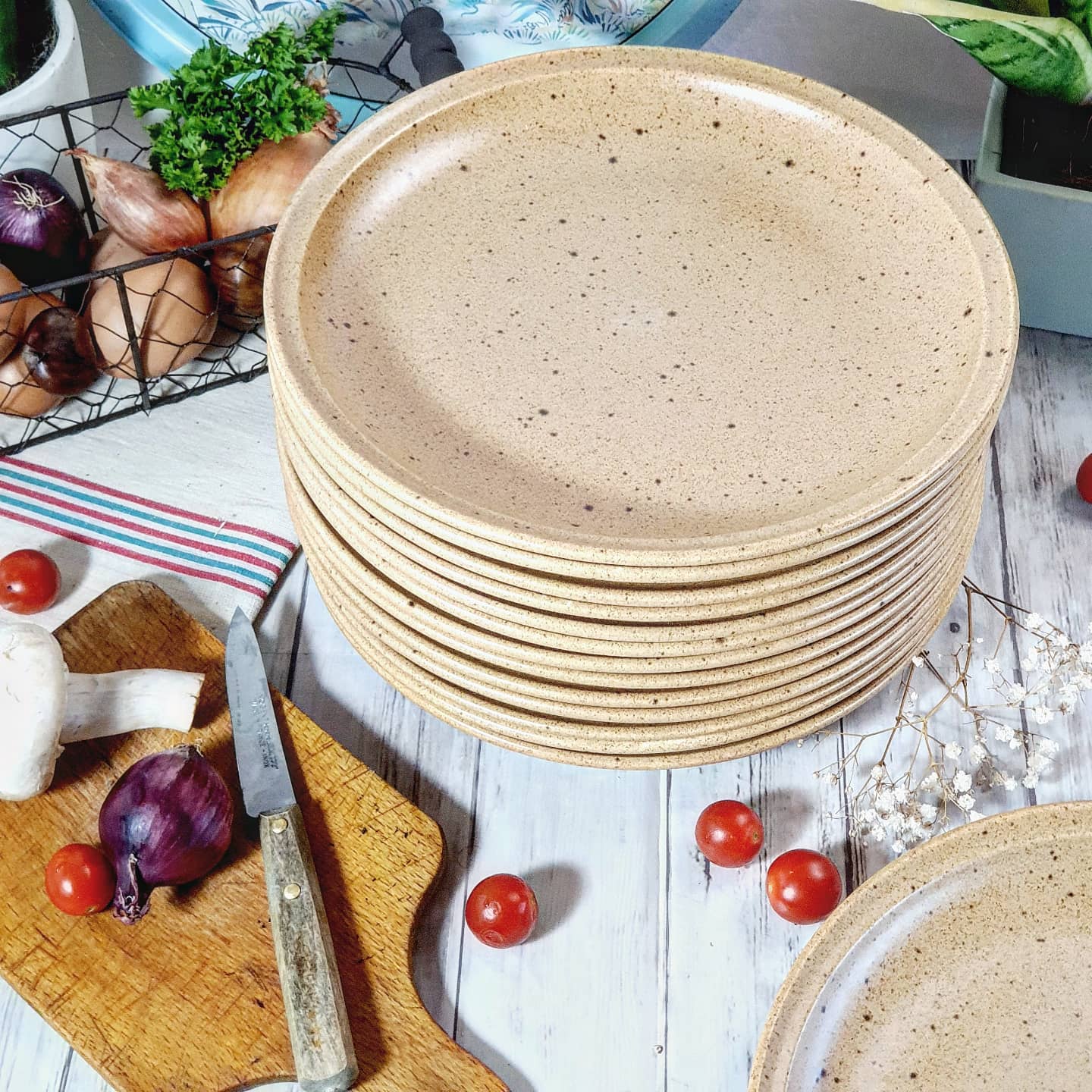 Lot de 7 assiettes plates Sarreguemines grès moucheté