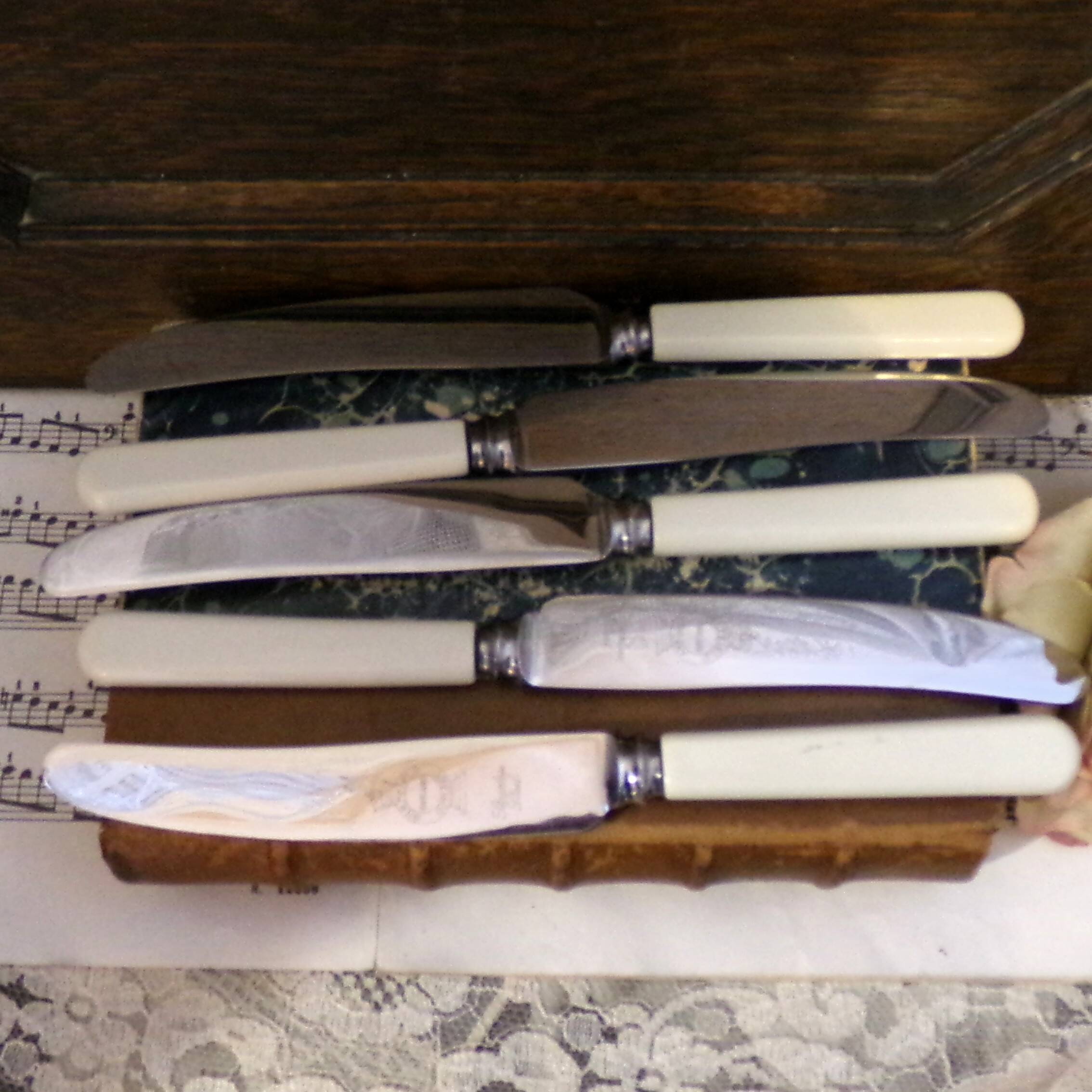 Box of 5 dessert knives in Sheffield steel with imitation bone handle.