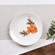 Vintage Bavaria porcelain plates
