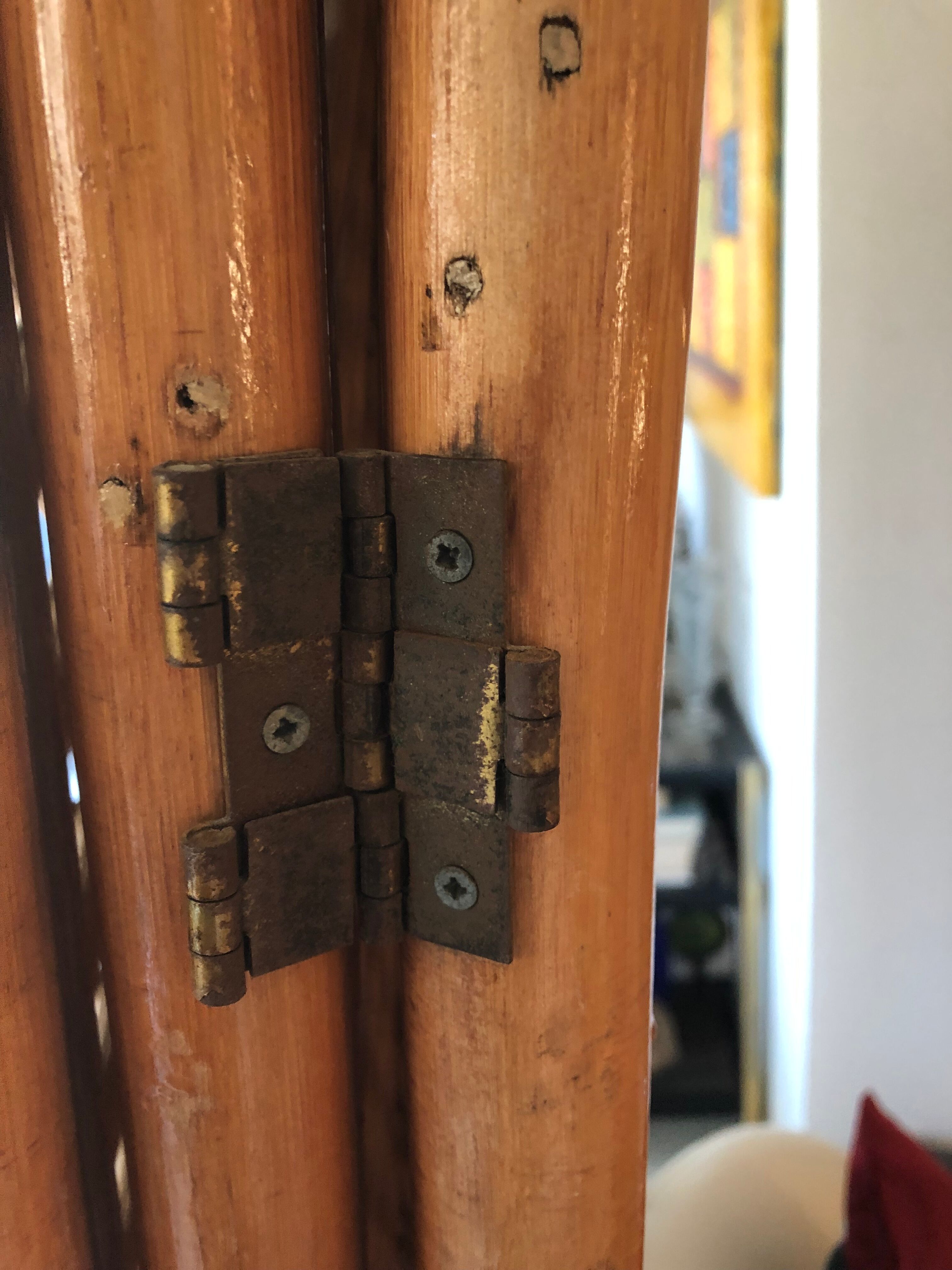 Rattan screen, bamboo and canning