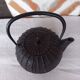 Japanese cast iron teapot