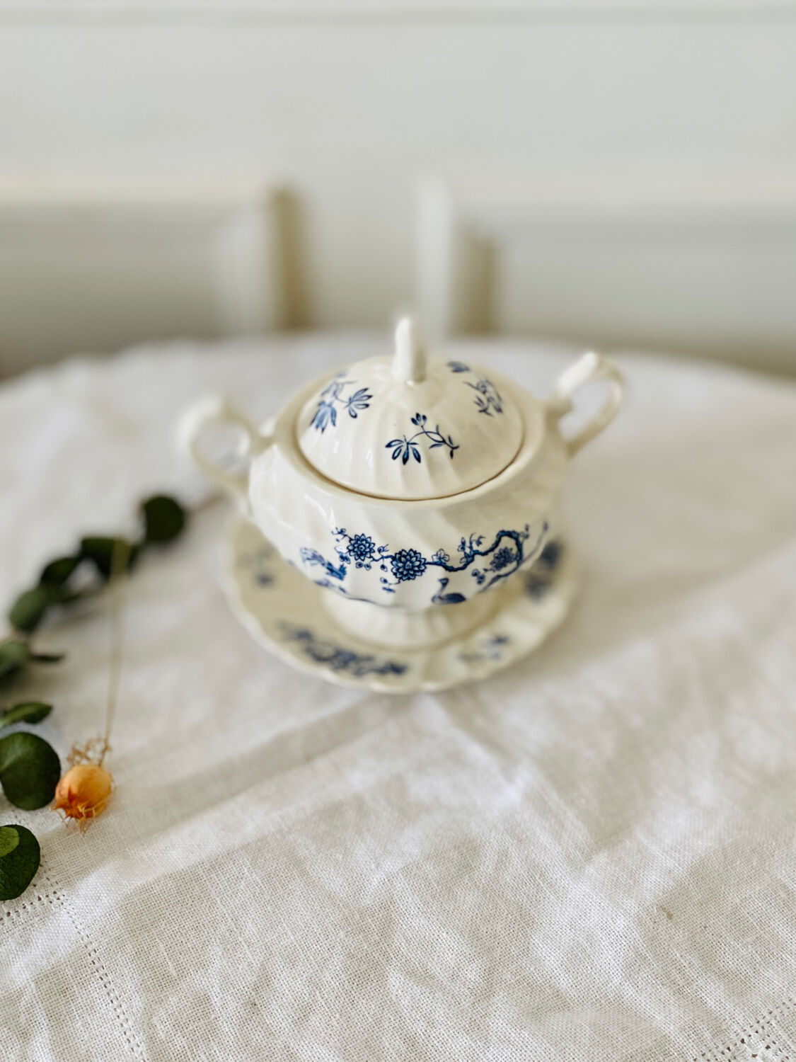 Old English porcelain sugar bowl Myott Staffordshire blue exotic birds decor