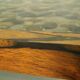 Vintage Swedish rosewood coffee table, 1960s