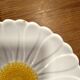 Set d'assiettes Marguerites Gien