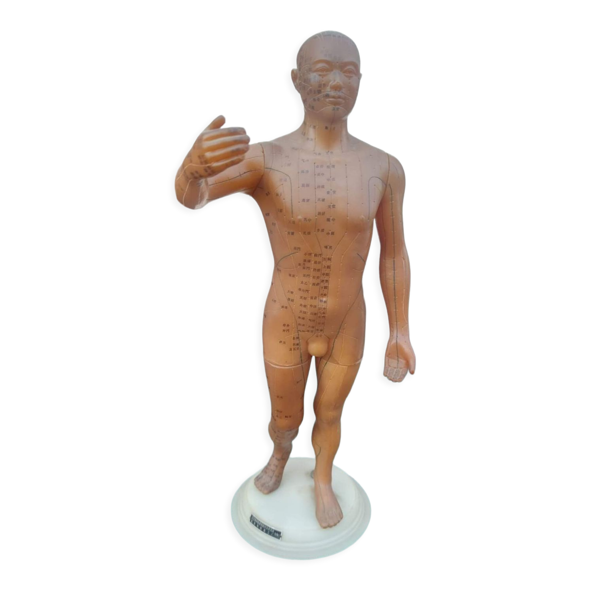 Acupuncture mannequin circa 1960