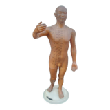 Acupuncture mannequin circa 1960