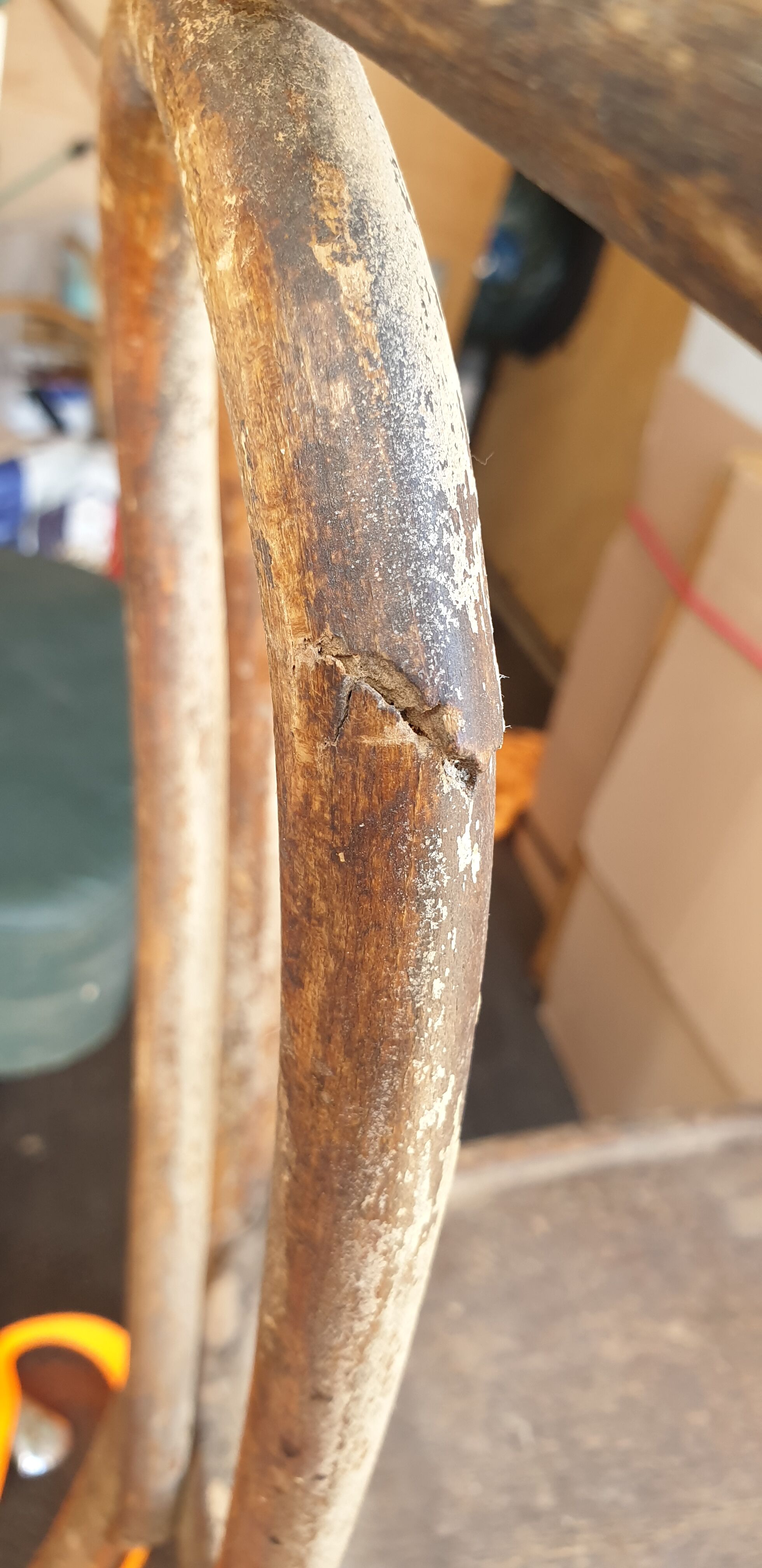 Pair of curved wood bistro chairs