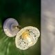 Vintage glass cut lampshade - tableware collection -