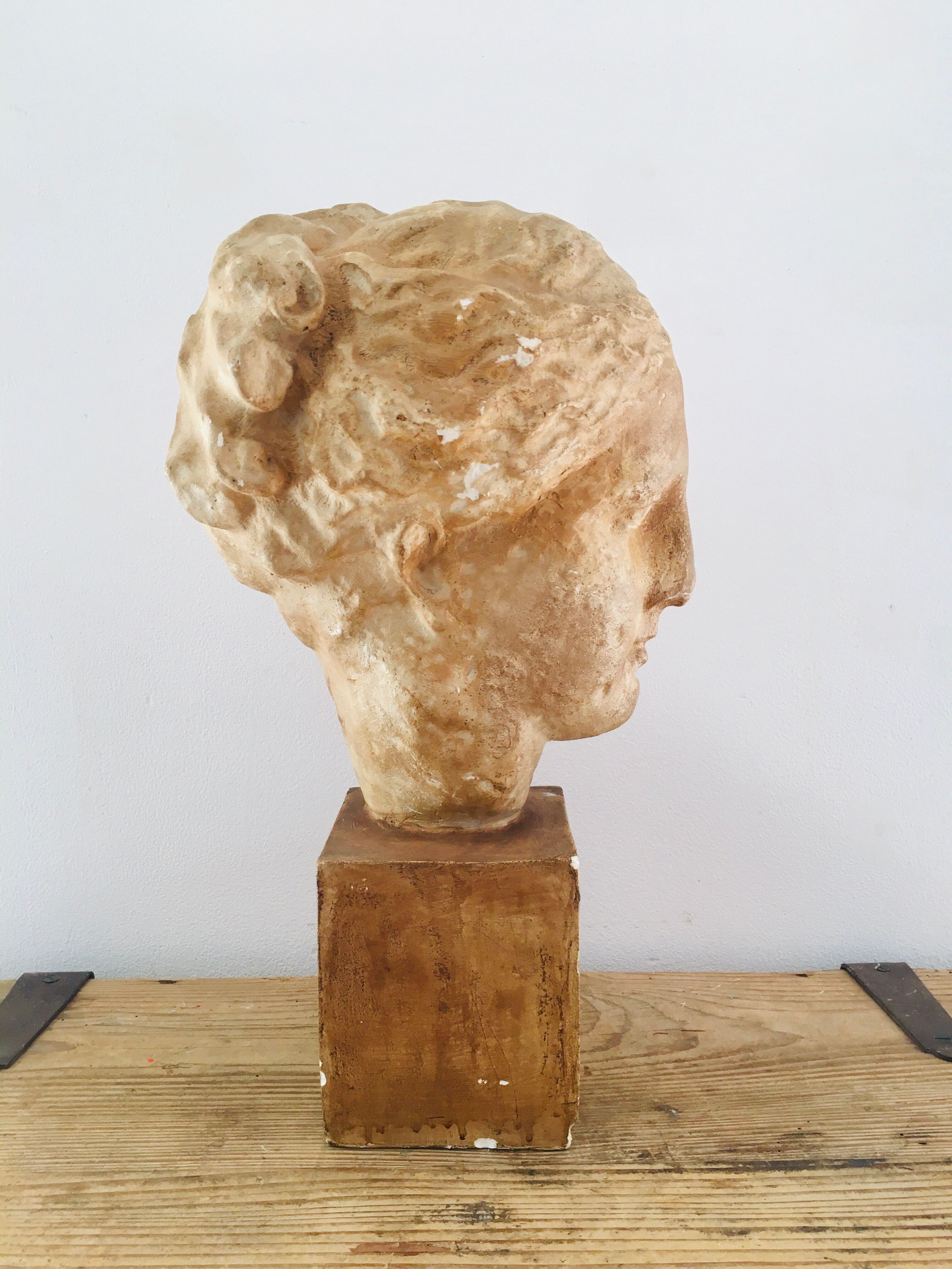 Plaster head goddess Hygie