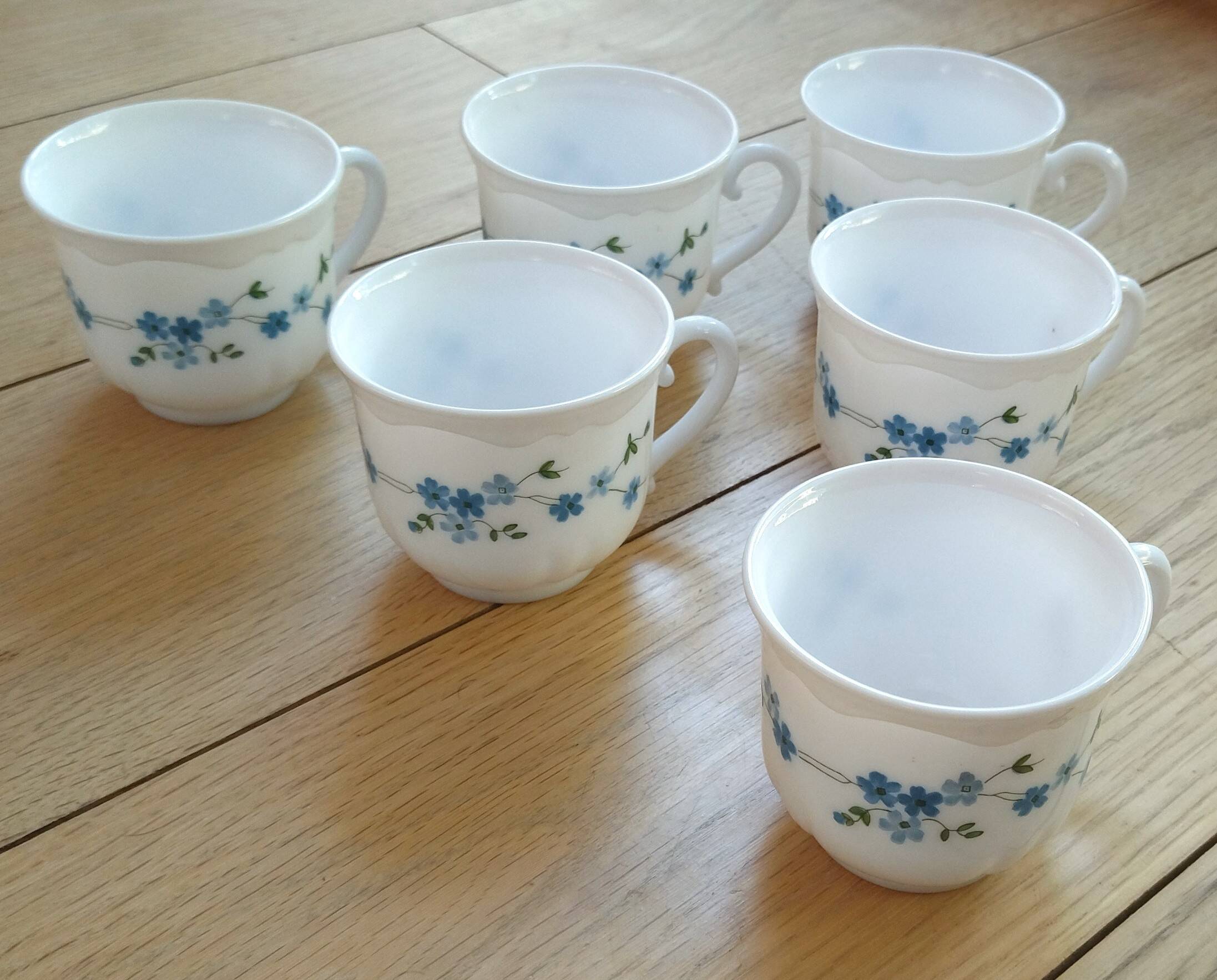 Set of 6 coffee cups model Véronica, forget-me-not