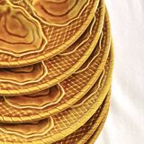 6 oyster slip plates