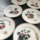 Lot of 6 plates botanical decoration