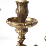 Pair of antique 6-arm bronze candelabras, 19th century