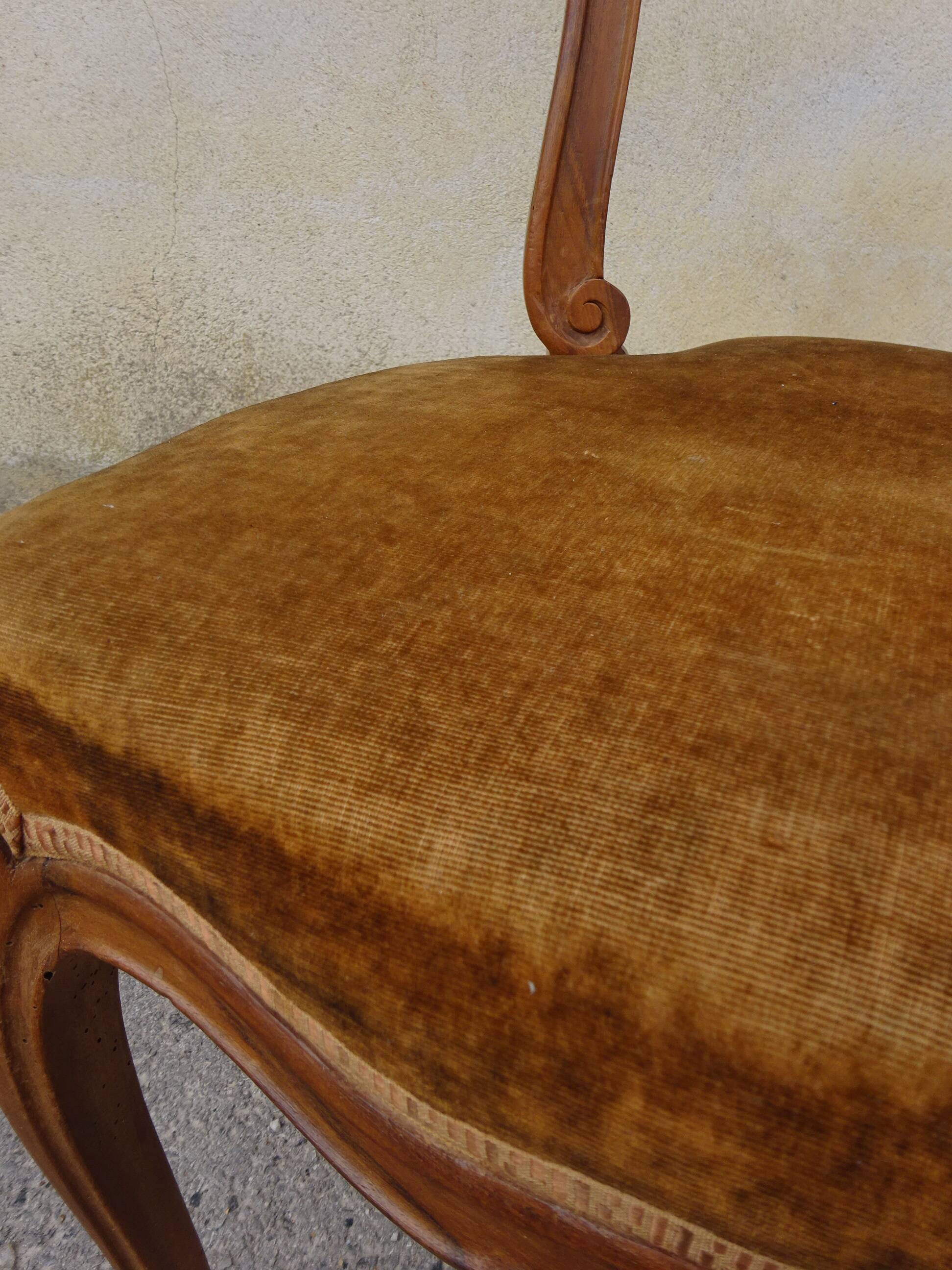 2 old chairs in walnut and velvet