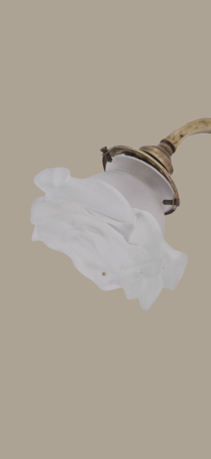 Art Nouveau wall light in gilded bronze - Frosted glass tulip - Period 1900