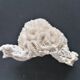 Authentic coral 10x6 cm